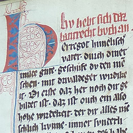 Detailansicht: Initiale H